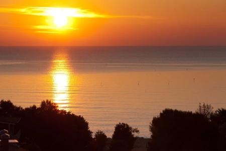 Belvedere - 13