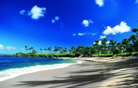 Kapalua Villas Maui - 18