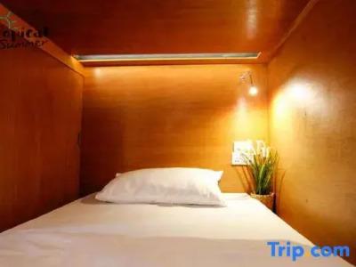 Tropical Summer Hostel - 32