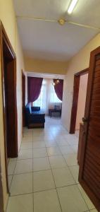 Palmen Apart - 121