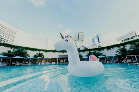 Pan Pacific Singapore (SG Clean, Staycation Approved) - 33