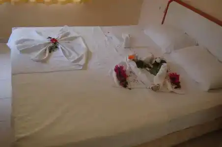 Side Linda Apart - 28