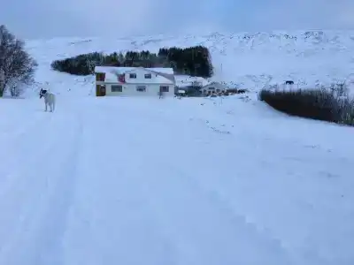 Öndólfsstaðir Farm B&B - 22
