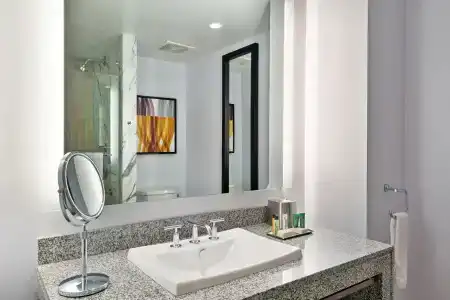 Hilton Club West 57th Street New York - 8
