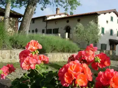 Fattoria di Belvedere - 0