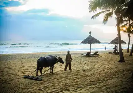 Palm Garden Beach Resort & Spa - 25