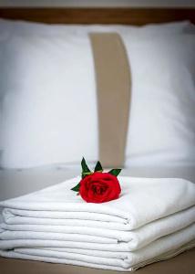 Zeyn Otel Istanbul - 91