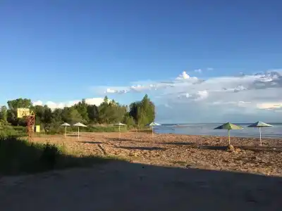 Тулпар - 0