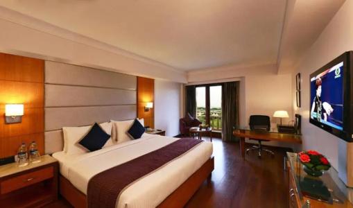 Lords Plaza Jaipur - 35