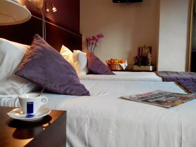 Quality Hôtel Christina Lourdes - 79