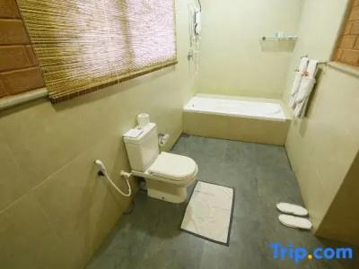 Elephas Resort & Spa - 27
