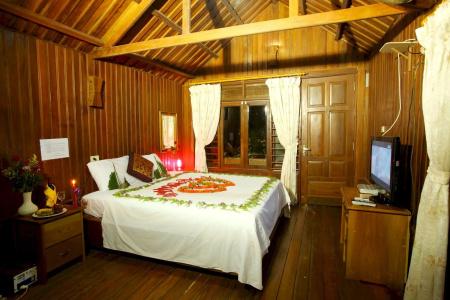 Monkey Island Resort - 3