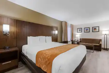 Comfort Suites At Sabino Canyon - 72