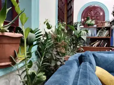 Flora Hostel - 0