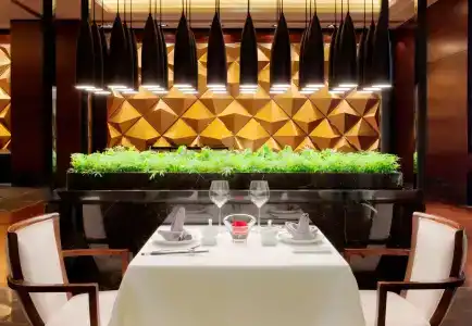 Radisson Blu Plaza Chongqing - 14