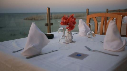 Les Palmiers - 23