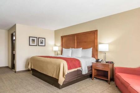 Comfort Inn Nashville West - 44