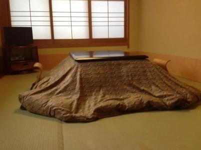 Pension Puutaro - 32