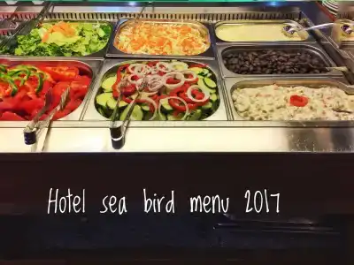 Sea Bird - 13
