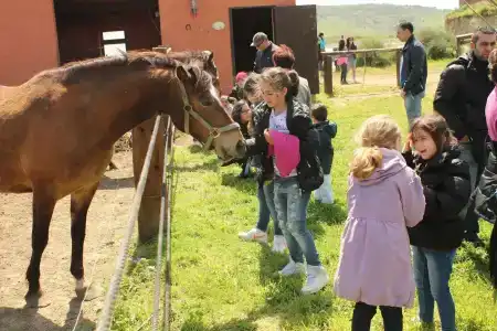 Colle San Mauro - 14
