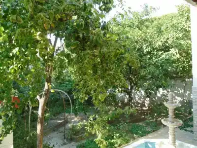 Lotus Garden Hostel Izmir - 28