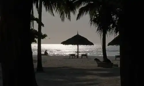 Pongwe Bay - 66