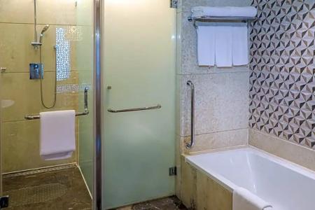 Crowne Plaza Jaipur Tonk Road, An Ihg - 66
