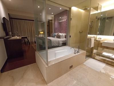 Royal Orchid Jaipur, 3 Kms to Airport - 5