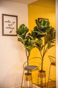 Theme Boutique Bangkok - 247