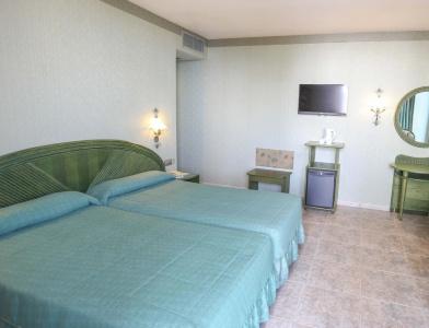Kaktus Albir - 84