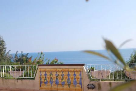 Belvedere - 33