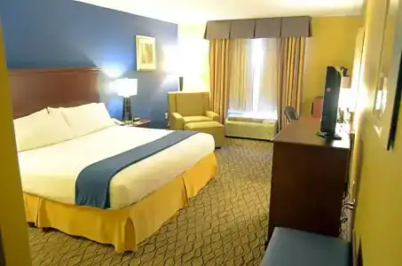 Holiday Inn Express & Suites Houston-Downtown Convention Center, An Ihg - 51