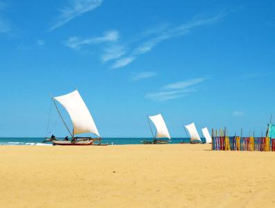 Zand Negombo - 15