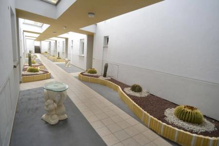 Arena Suites - 12