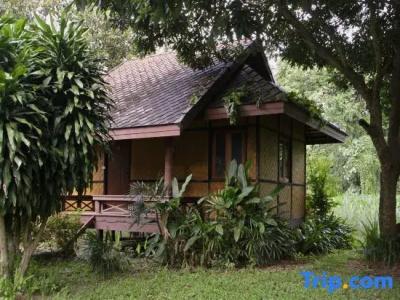Baan Krating - Sha Plus - 88