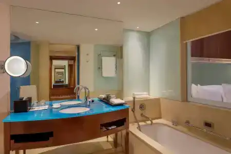 Itc Maurya, a Luxury Collection, New Delhi - 9