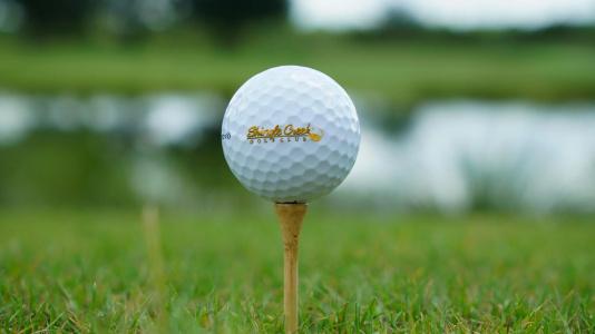 Rosen Shingle Creek Universal Blvd - 47
