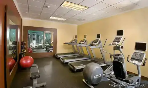 Embassy Suites by Hilton Phoenix Downtown North - 20