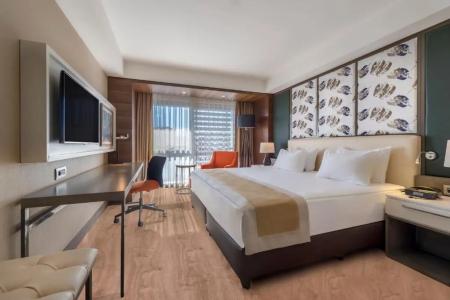 Holiday Inn Kayseri - Duvenonu, an IHG - 40