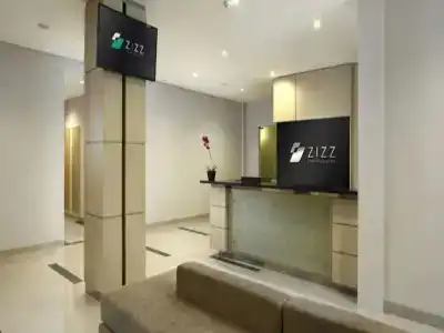 Zizz Convention - 1