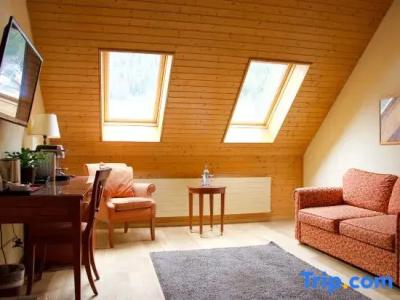 & Spa Silberhorn Wengen - 128