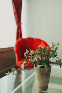 Swiss Inn - 29