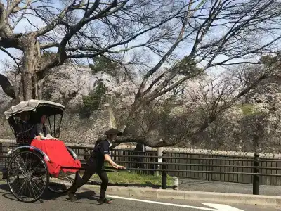 Nagoya Castle - 27