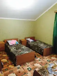 Виктория - 4