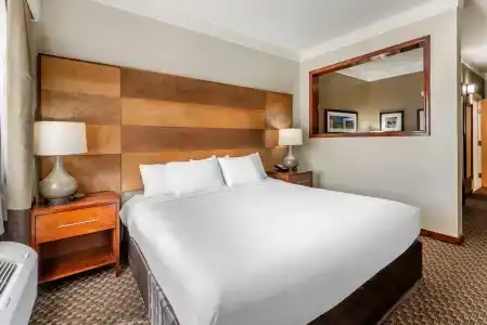 Comfort Inn & Suites - 60