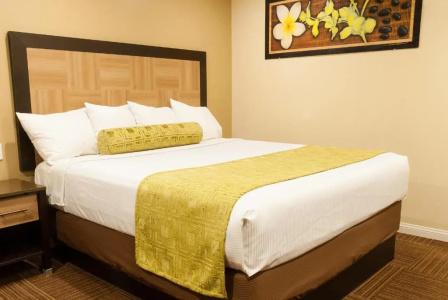 Best Western Plus - 33