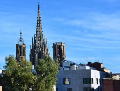 Catedral Bas  Barcelona - 0