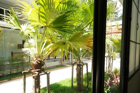 Irest Ao Nang Seafront - Sha Plus - 38