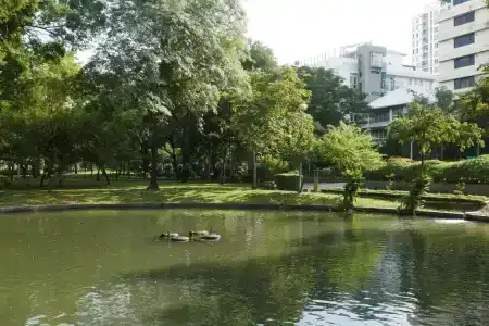 Le Tada Parkview - Sha Plus - 13