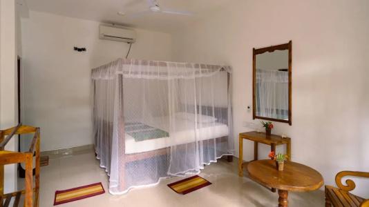 Turtle Paradise - 130